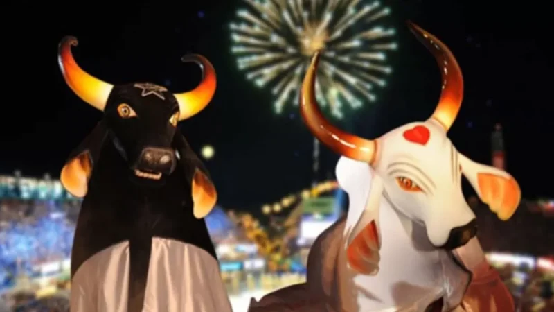 Festival de Parintins: O maior espetáculo folclórico do mundo